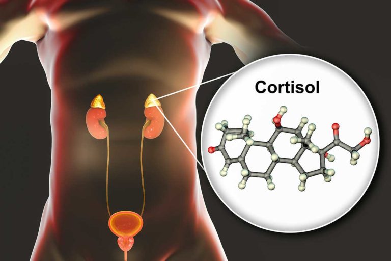 Cortisol